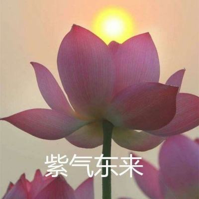 中国经济信心说丨音乐节如何“唤醒”暑期文旅市场？